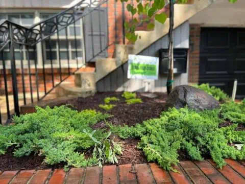 Lush green shrubbery and a garden bed in front of a house with brick steps and black railing.