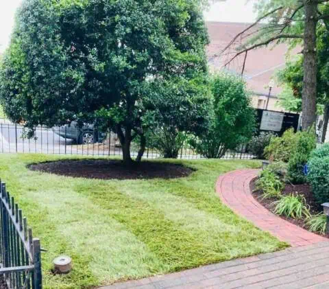 Lush green backyard with manicured lawn, mature tree, and curved brick pathway.