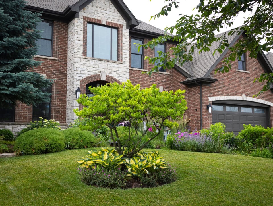 Image of a brick house with well-maintained front yard and vibrant plants.